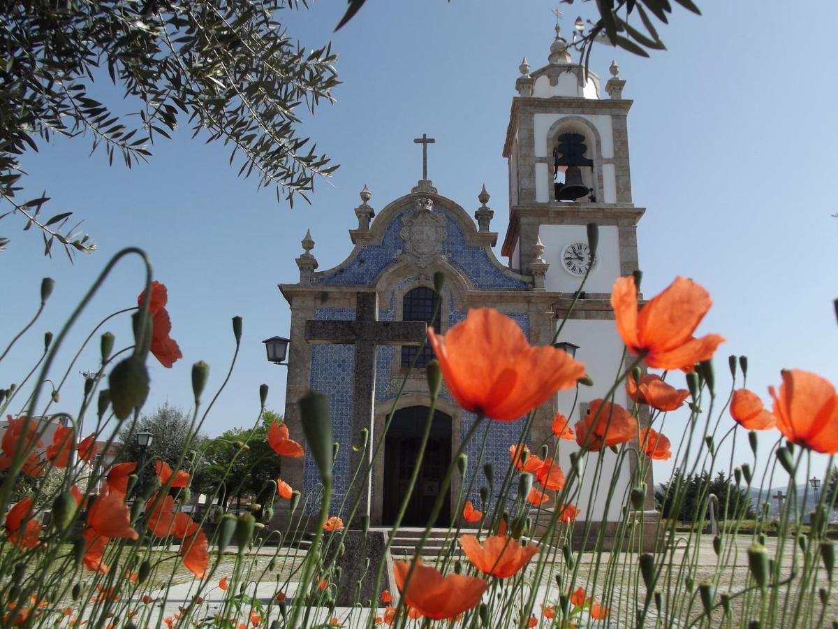 Douro - A Casinha Da Ana Lejlighed Vila Real Eksteriør billede